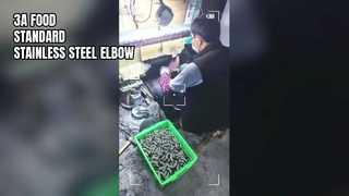 CURVA IN ACCIAIO INOX 3A STANDARD ALIMENTARE