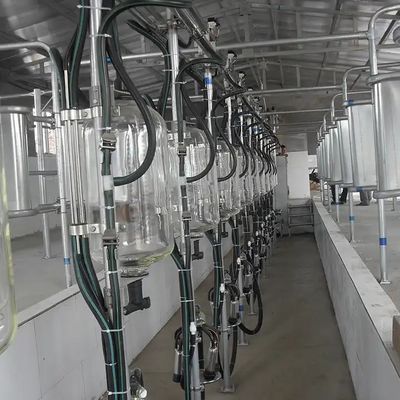 Un buon prezzo. Lavatorio di allevamento di bovini, capre e mucchi, vetro, misuratore di flusso del latte De Laval in linea